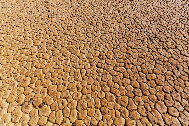 Tierras secas en el desierto