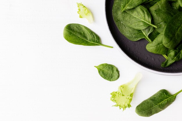 Tigela com folhas frescas de salada verde, espinafre, alface, manjericão em um fundo branco