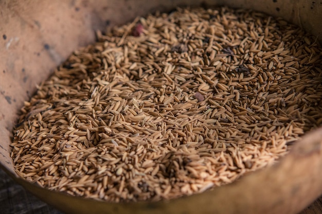 Tigela de arroz cru em macro plano com detalhes