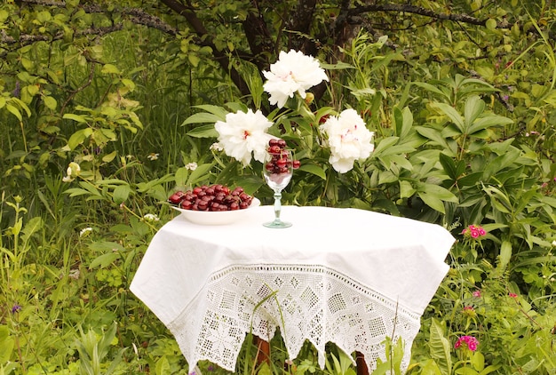 Tigela de cerejas em uma mesa no jardim