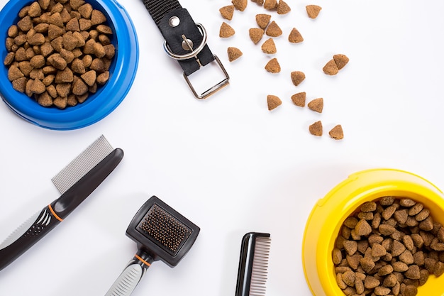 Tigela de coleira com coleira para ração, pentes e pincéis delicados para cães isolados no fundo branco