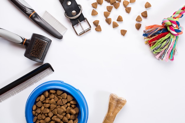 Tigela de coleira com coleira para ração, pentes e pincéis delicados para cães isolados no fundo branco