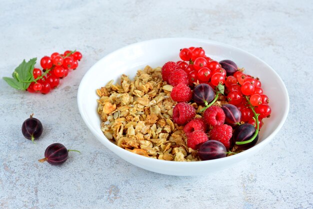 tigela de muesli com frutas frescas do jardim isoladas no fundo cinza close-up