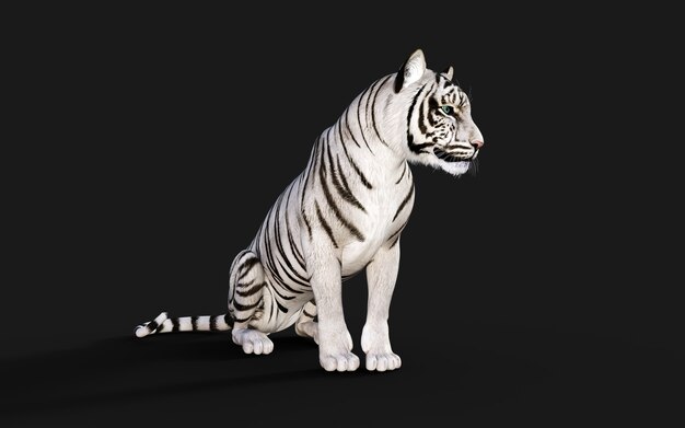 Tigre branco albino isolado em um fundo escuro com ilustração 3d de trajeto de grampeamento