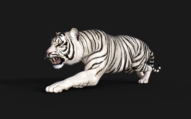 Tigre branco albino isolado em um fundo escuro com ilustração 3D de trajeto de grampeamento