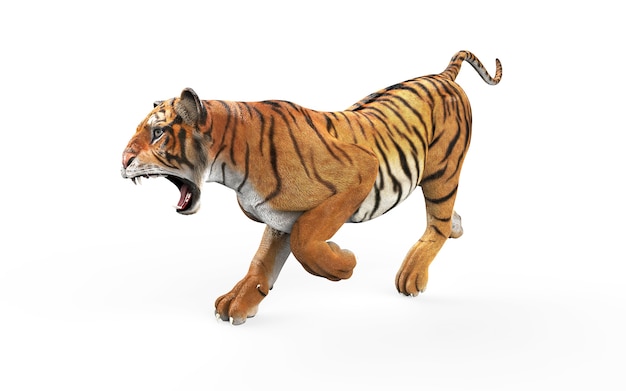 Foto de Tigre De Bengala Em Pé E Observando A Câmera Com Renderização 3d  Incluem Caminho Alfa e mais fotos de stock de Animal de estimação - iStock