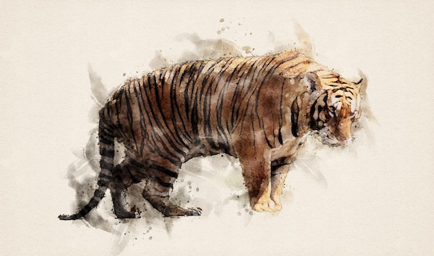 El tigre está acostado sobre un tronco de madera Estilo acuarela Ilustración