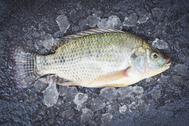 Tilapia Fisch auf Eis