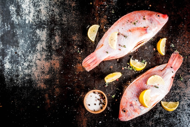 Tilapia rosada de pescado crudo fresco con especias para cocinar limón, sal, pimienta, hierbas, sobre una mesa de metal oxidado negro, vista superior