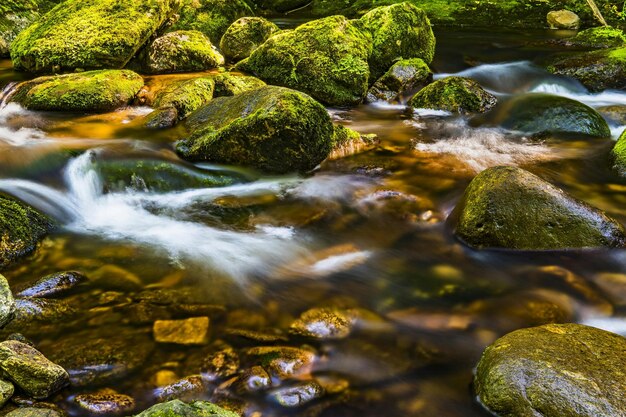 Foto timelapse-fotografie des flusses, der durch moosbedeckte felsen fließt foto