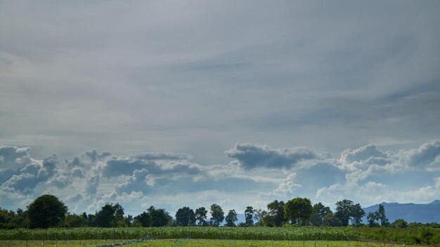 Foto timelapse-wolke vor dem sturm über der sommerlandschaft ländliche felder maispflanzung