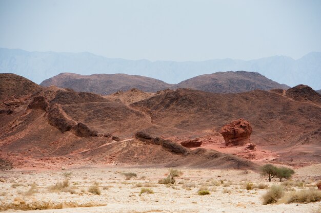 Timna Naturpark in der Wüste Südisraels.