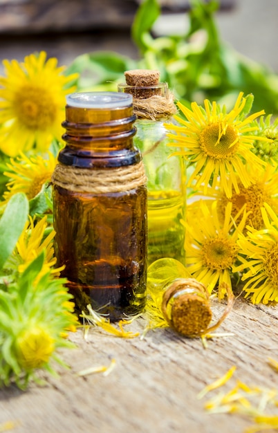 Tinktur aus elecampane.Medizinische Volksheilmittel Tinktur aus den Wurzeln der Inula