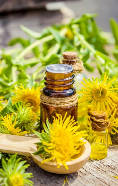 Tinktur aus elecampane.Medizinische Volksheilmittel Tinktur aus den Wurzeln der Inula