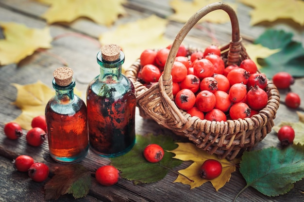 Tinkturflaschen mit Weißdornbeeren reife Stechäpfel im Korb Pflanzliche Arzneimittel Selektiver Fokus