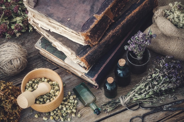 Tinkturflaschen Sortiment trockener gesunder Kräuter alte Bücher Mörtelschere auf altem Holzschreibtisch Kräutermedizin Draufsicht