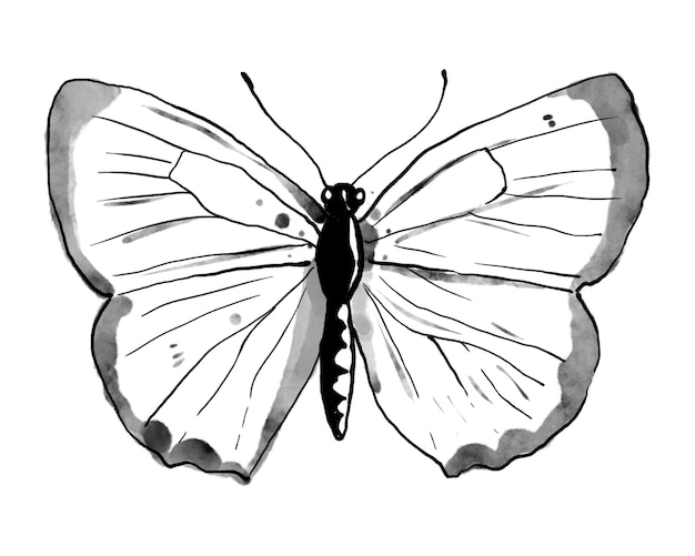 tinta borboleta png adesivo linha elemento de design de arte