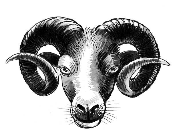 Tinta de cabeza de carnero dibujo en blanco y negro