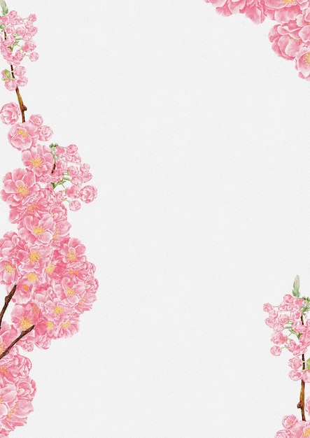 Tinta de mão de cor de água de flor de cerejeira na ilustração de papel de água Isolada linda flor de primavera rosa Sakura natural em fundo branco para convite de casamento dia das mães ou cartão de dia dos namorados