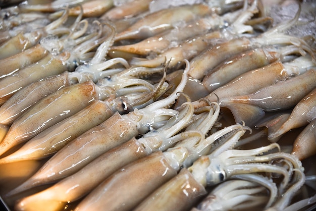 Tintenfisch auf dem Markt