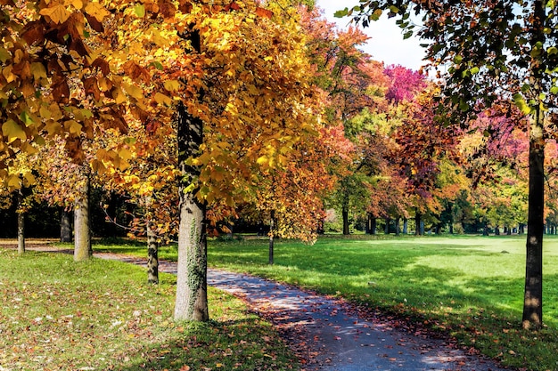 Tintes de otoño en el Parco di Monza Italia