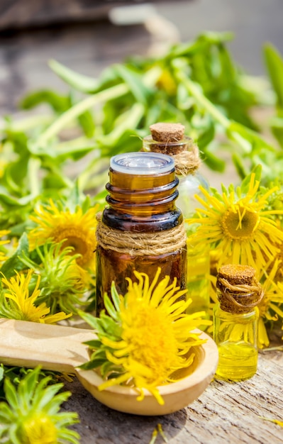 Tintura de elecampane.Medicinal remedio popular tintura de las raíces de inula