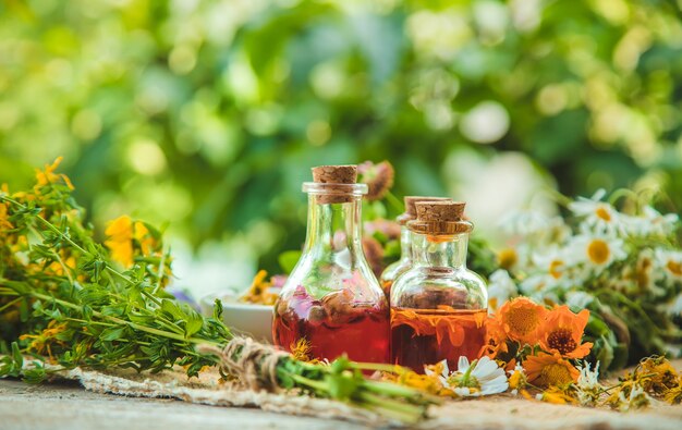 Tintura de hierbas medicinales en botellas. Naturaleza.