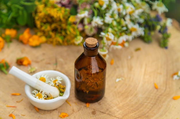 Tintura de hierbas medicinales en botellas. Naturaleza.