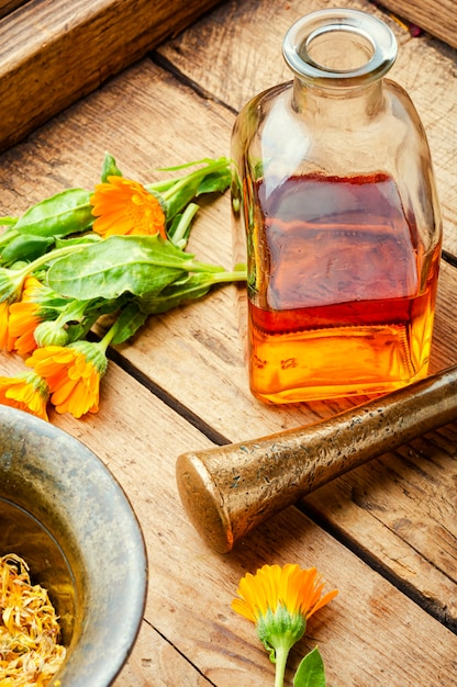 Tintura medicinal de flores de caléndula, hierbas medicinales silvestres, botella de tintura y hierbas curativas