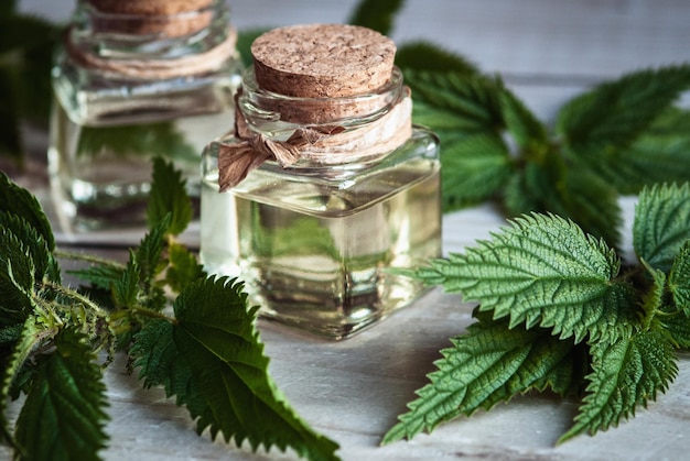 Tintura de ortiga en botellas de vidrio Urtica dioica hojas frescas sobre mesa de madera