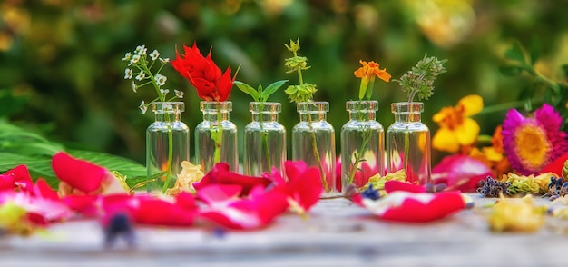 Tinturas de hierbas y flores en botella. Enfoque selectivo.