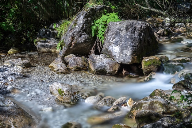 Tiny Rapids no Val Vertova Torrent Lombardy perto de Bergamo, na Itália