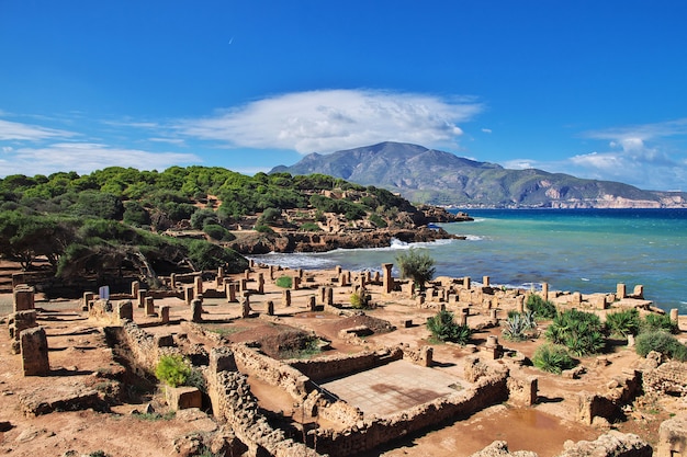 Tipaza ruínas romanas de pedra e areia na Argélia, África