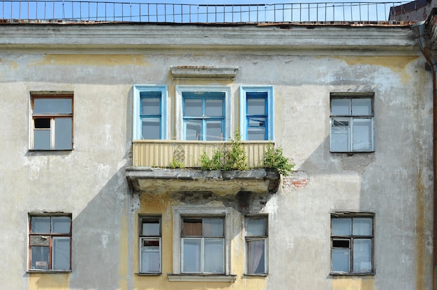 Típica casa antigua estalinista en San Petersburgo en estilo Imperio con árboles en crecimiento en el balcón