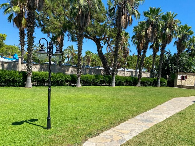 Típica casa de Florida en el campo con palmeras, plantas y flores tropicales