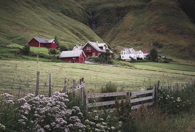 Típicas casas rojas en la isla Runde Noruega Europa