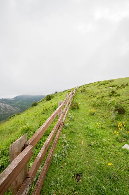 Típico paisaje de montaña verde del norte de España