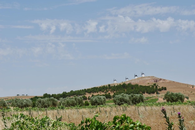 Típico paisaje rural en verano en la comunidad de Castilla La Mancha España