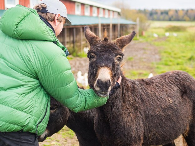 Un tipo alimentando a un caballo con un regalo de su mano en una granja