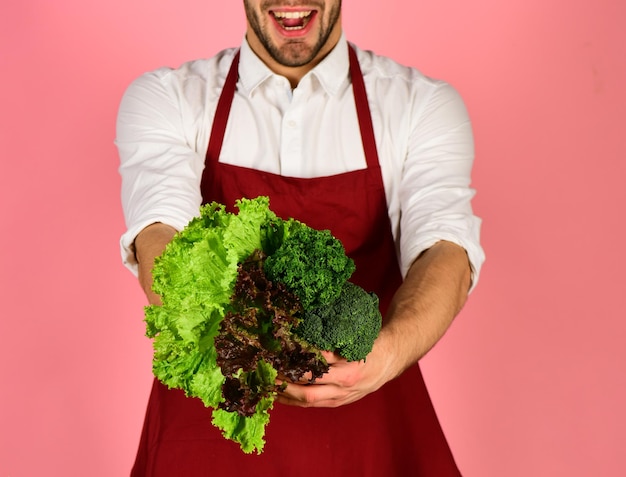 Un tipo con uniforme de cocinero o chef sostiene un manojo de lechuga verde y perejil sobre fondo rosa. concepto de nutrición saludable