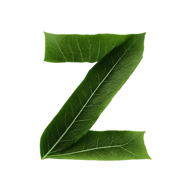 Tipografia de folha verde desenho de texto alfabeto Z em maiúsculas