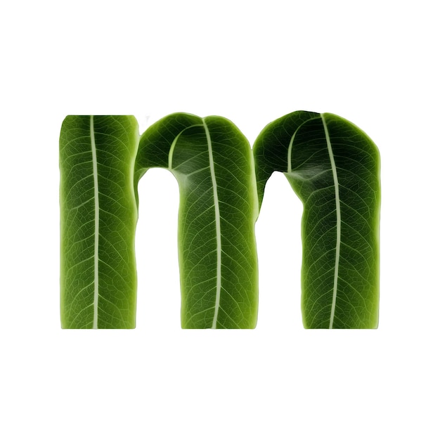 Tipografia de folha verde projeto de texto alfabeto minúsculo m