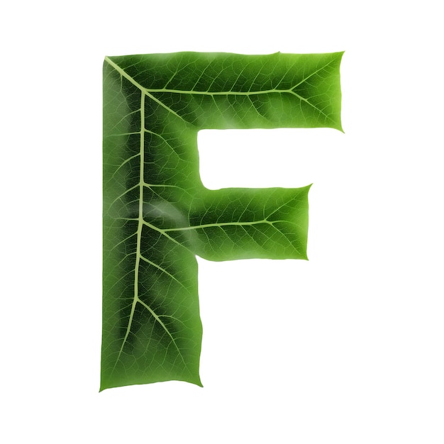 Tipografía de hoja verde diseño de texto alfabeto F en mayúsculas