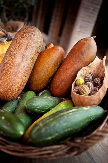 tipos de pepino