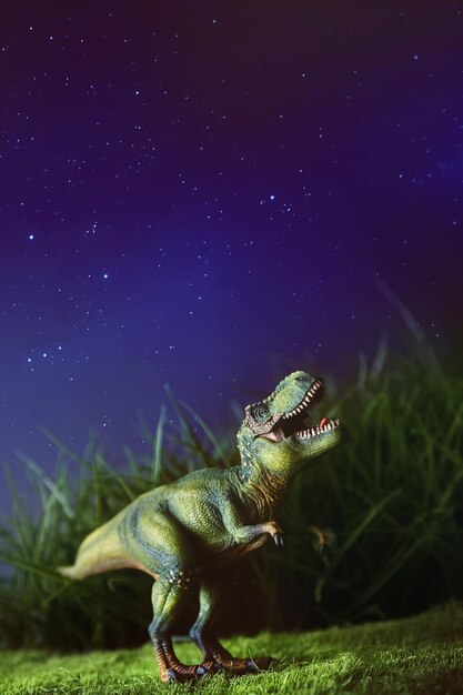 Foto el tiranosaurio en la hierba por la noche