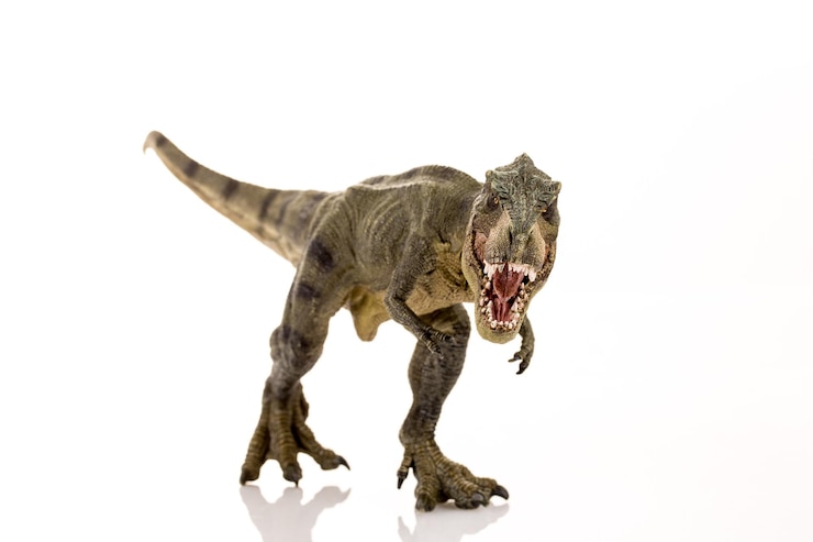 Foto tiranosaurio rex aislado sobre fondo blanco.