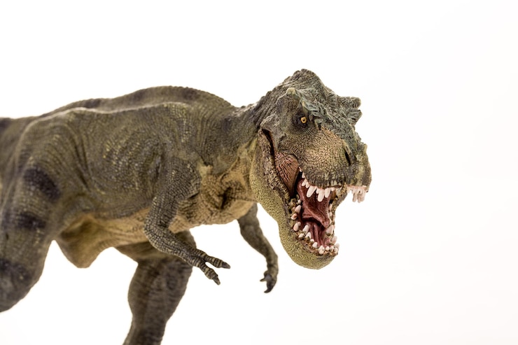 Foto tiranosaurio rex aislado sobre fondo blanco.