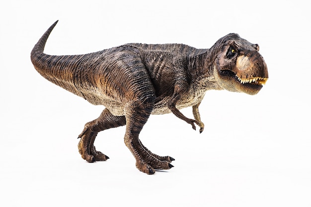 Tiranossauro t-rex, dinossauro em fundo branco