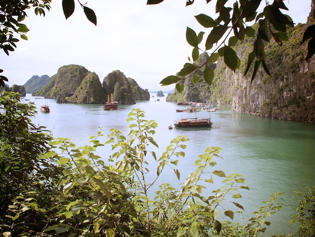 Tiro de ángulo alto de la bahía de Ha Long con un hermoso paisaje en Vietnam