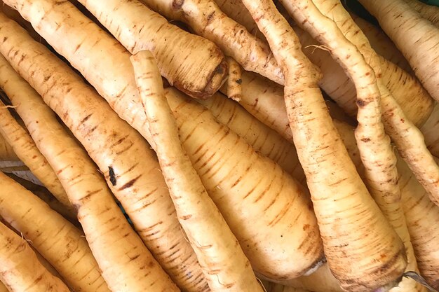 Tiro completo de zanahorias